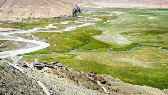 Ladakh grassland